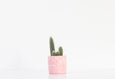 Pink and White Terrazzo Planter